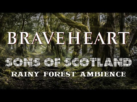 BRAVEHEART | Sons of Scotland (rainy forest ambience)