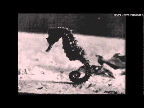 jak progresso - crystal house of jars