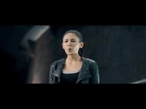 Chinese zodiac 12 (trailers)