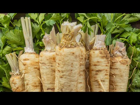 How to Cook with Parsley Root