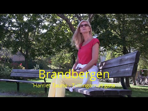 2014-09-07 Projekt Brandbergen Harriet Taune Tvillingarnas gata ( REMIX )