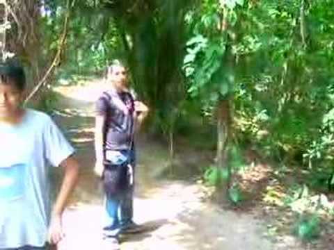 gera cambio drastico