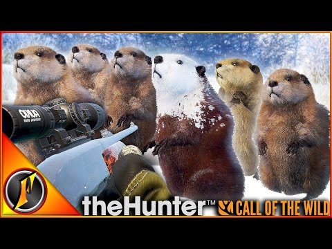 PIEBALD Beaver + Dilute Muley on Askiy Ridge! | theHunter Call of the Wild