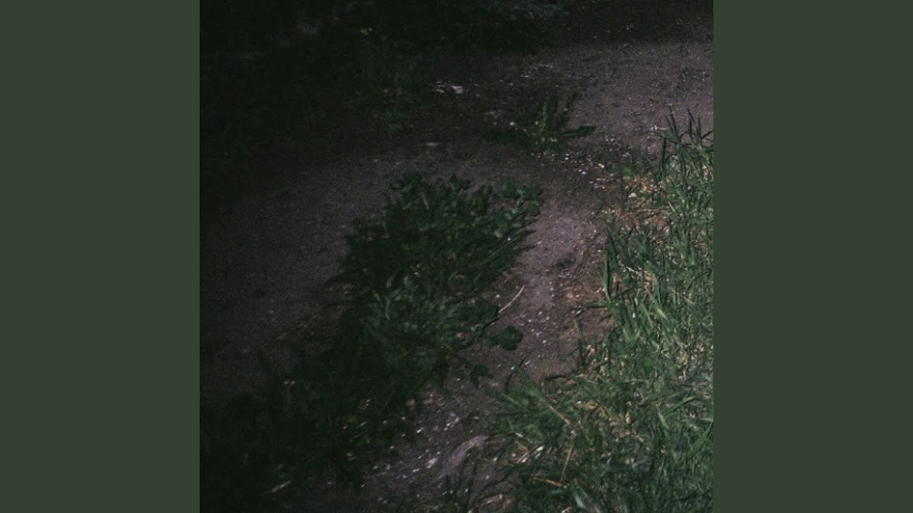 Cover for the song 'TheOceanHasNeverBeenSoCold' by artist(s) 'SurrenderDorothy'