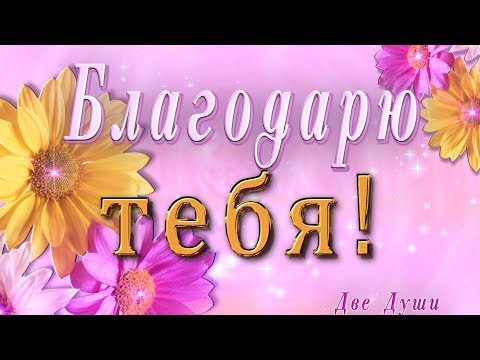 💗 Благодарю тебя! 💗 Анимационная  открытка 4K