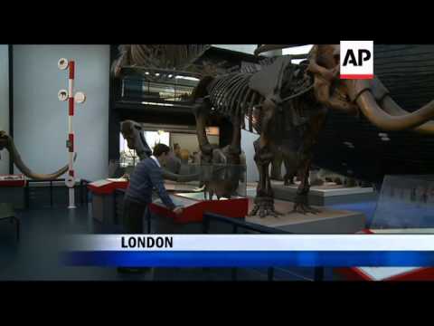 Russian scientist tries to recreate the Ice Age