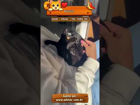 Vídeo de Neném 