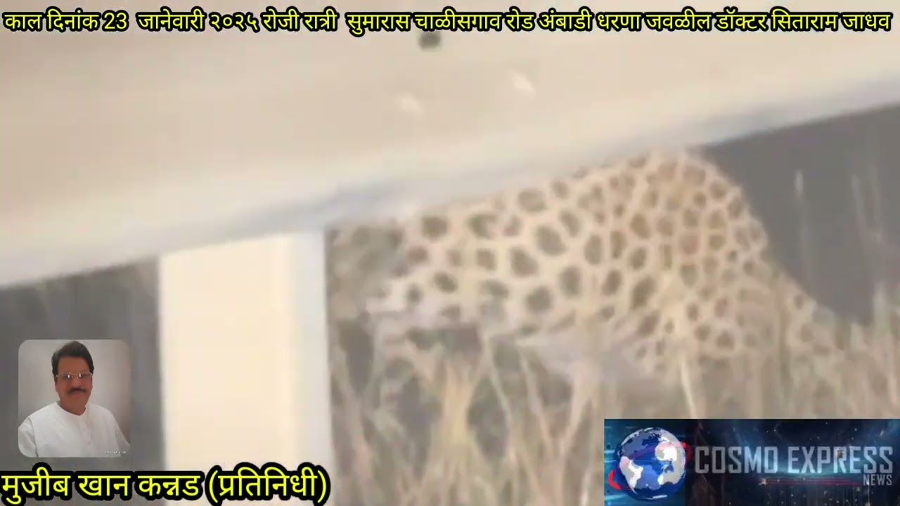 रोजी रात्री साडे अकराच्या सुमारास चाळीसगाव रोड अंबाडी धरणा जवळील डॉक्टर सिताराम जाधव यांच्या शेताजवळ बिबट्या आढळून आला