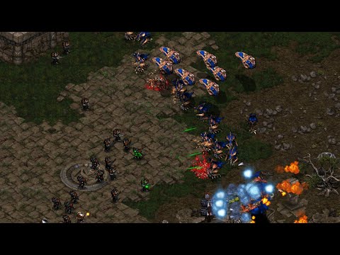 ZeloT vs FLASH 4 game series Rabbitroo co-cast!  - Starcraft Broodwar