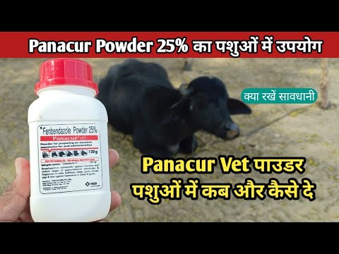 Panacur Fenbendazol Vet Powder, For Domestic