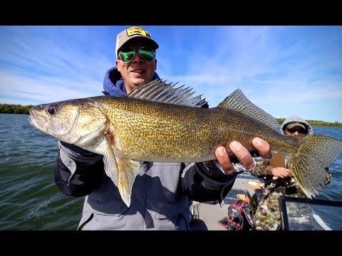 Fall Walleye Fishing Tips w/ Tom Huynh (Top Tourney Pro)