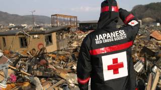 HFA Success Story - International Recovery Platform: Build Back Better