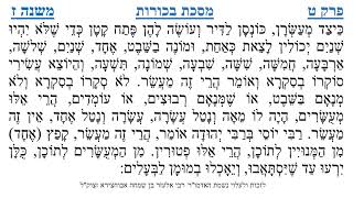 מסכת בכורות פרק ט משנה ז