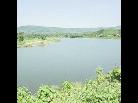 Thể hiện bởi Hoàng Thông