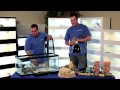 Bearded Dragon Husbandry, Proper Caging and Lighting- Carolina Classic Dragons Bearded Dragon Husbandry, Proper Caging and Lighting- Carolina Classic Dragons