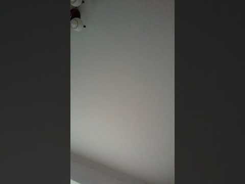 download lagu mp3 mp4 Irina Danu, download lagu Irina Danu gratis, unduh video klip Irina Danu