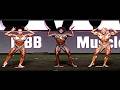 FBB Bodybuilders Denise Masino Marja Dayana