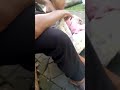 Tukang Pijat Cabul
