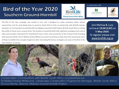 Conservation Conversations: Dr Melissa Howes-Whitecross & Dr Lucy Kemp - Bird of the Year (5 May 20)