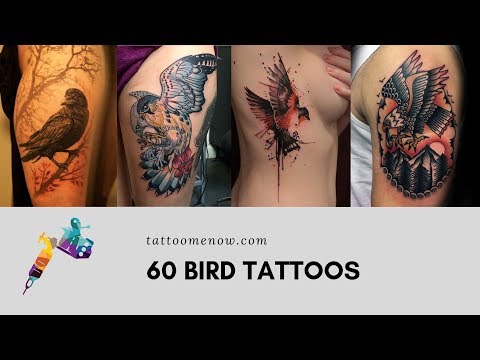 60 UNIQUE BIRD TATTOO DESIGNS