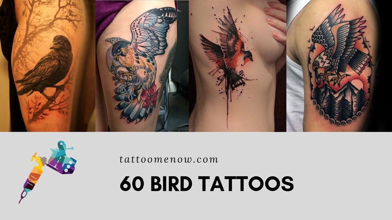 60 UNIQUE BIRD TATTOO DESIGNS