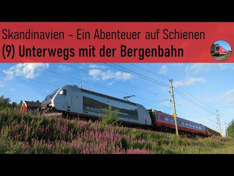 Unterwegs mit der Bergenbahn (Bergenbahn Oslo-Ustaoset - Skandinavien 9/11)