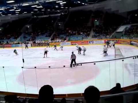 Steelers Fans vs. Starbulls Rosenheim