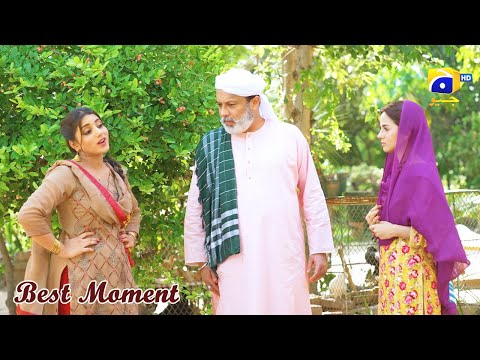 Qalandar Ep 06 | 𝐁𝐞𝐬𝐭 𝗠𝗼𝗺𝗲𝗻𝘁 𝟎𝟵 | Muneeb Butt | Komal Meer | Ali Abbas | Hiba Aziz | HAR PAL GEO