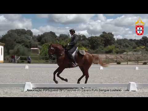 220424 9 Opio - Aprovação de Garanhões