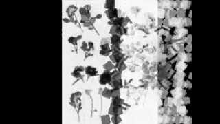 Dave Edmunds: (I'm Gonna Start) Living Again If It Kills Me