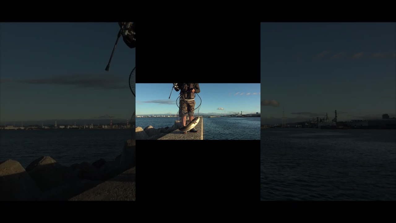 【バレない魔法】エラ洗いが怖くない！パワーヘッドアシストチューンでシーバス全キャッチ！！#shorts #fishing #seabass #coreman #コアマン #シーバス