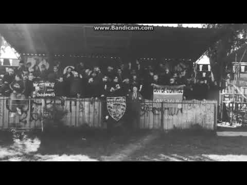 Steaua-ce rușine să fi câine