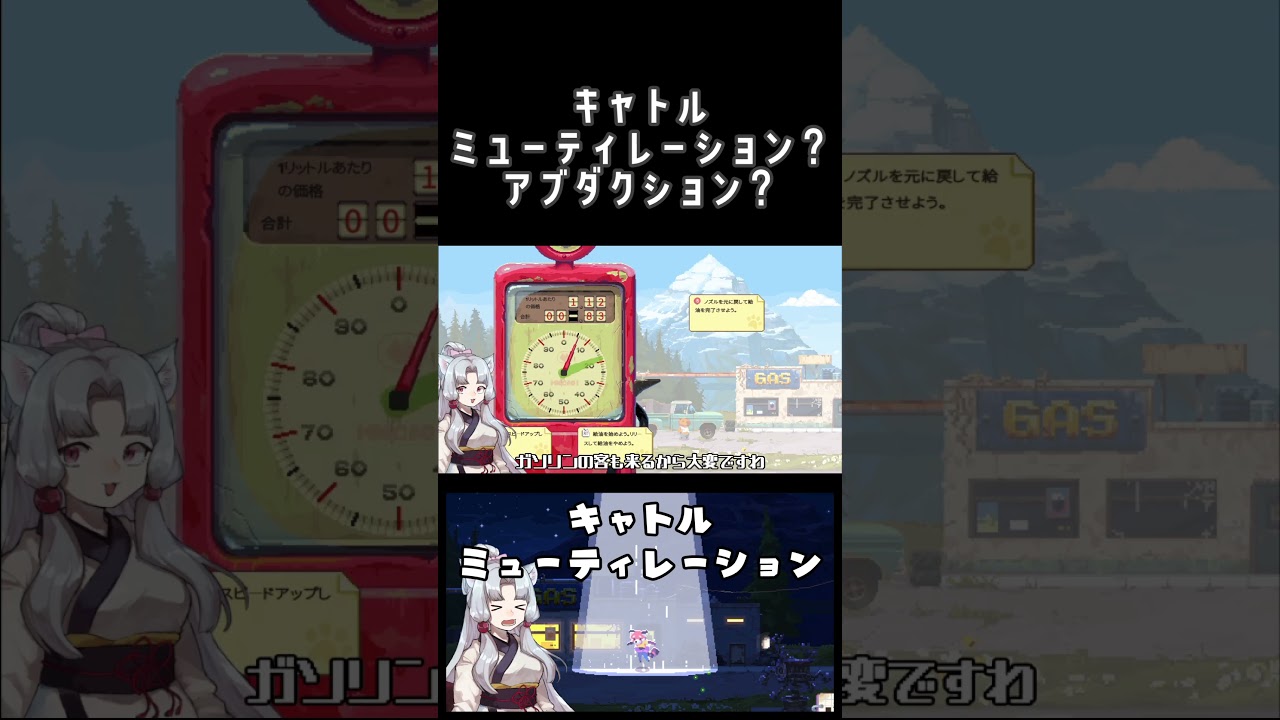 ガソリンスタンド経営レッサーパンダがUFOにさらわれる【TheLastGasStation】