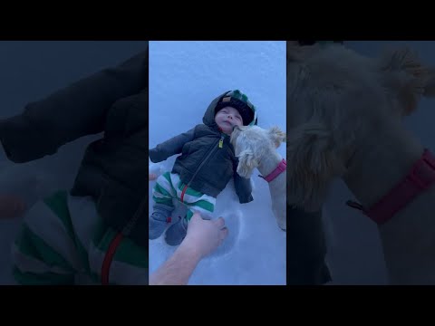 Baby's First Snow Angel || ViralHog
