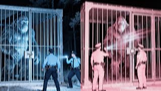 The “Captured Bigfoot” Footage That Everyone Thought Was Fake… Until Now