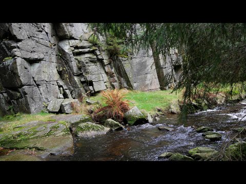 Die Teufelsmauer im Schwarzwassertal