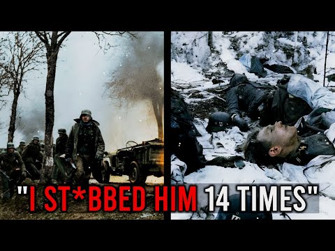 Confessions of the Eastern Front: German Voices from WWII