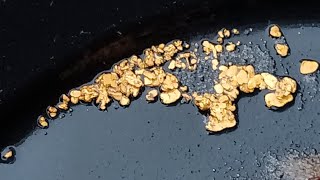 Still sluicing when the flow stops! Part 3 || Prospecting NSW