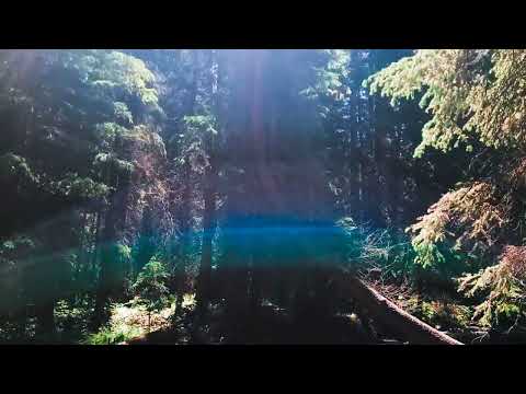 TastyChewy Presents Get Involved by Raphael Saddiq and Q-Tip