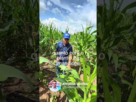 #saogeraldodoaraguaia