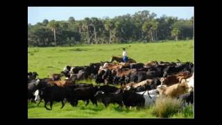 CATTLE CALL  -  JIM WHITMAN  -  A LITTLE BIT COUNTRY.