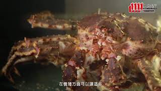 TBS剔邦饈 Teppanyaki_齊饗良食國際餐飲企業股份有限公司影音