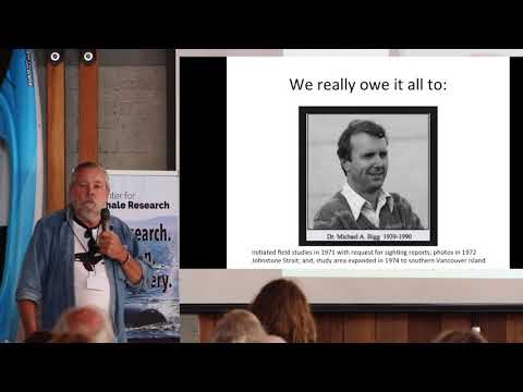 Orca Survey - The Beginning