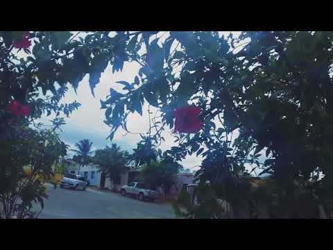 Efêmero (VÍDEO PREMIADO)