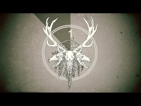 The Wild Roots - Fire In My Heart (official music video)