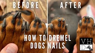 How To Dremel Your Dog