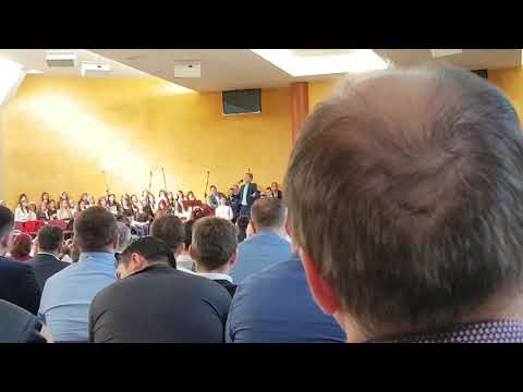 Poezie David si Goliat fratele PETRICA CARCEA