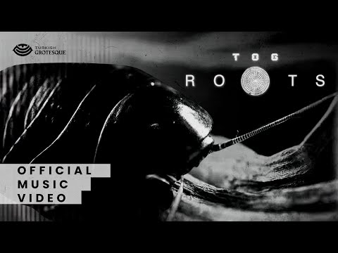 TOG - Roots (Official Music Video)