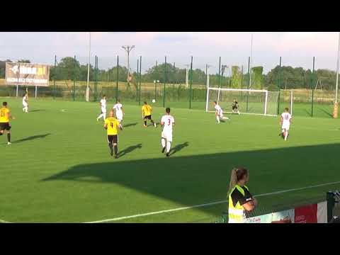 Aleksander Sobczak - Piast Żmigród 0 - 0 Pniówek Pawłowice + reakcja publiczności na ostatnią akcję.