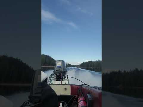 bella arrow with Suzuki DT 65